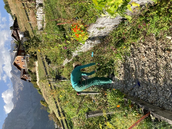 Gartenwoche im Heilkräutergarten